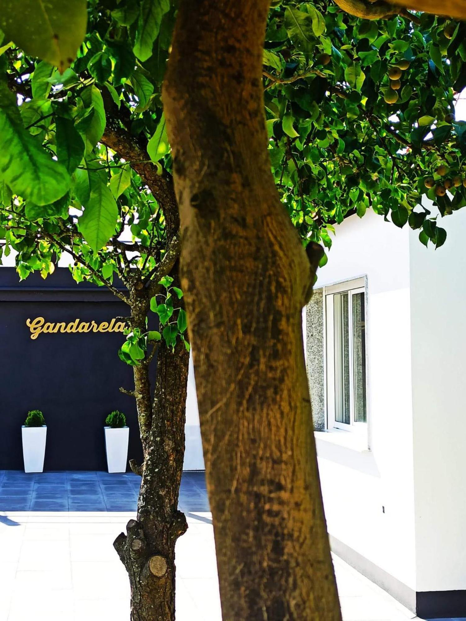 Apartamentos Vut Gandarela 산신소 외부 사진